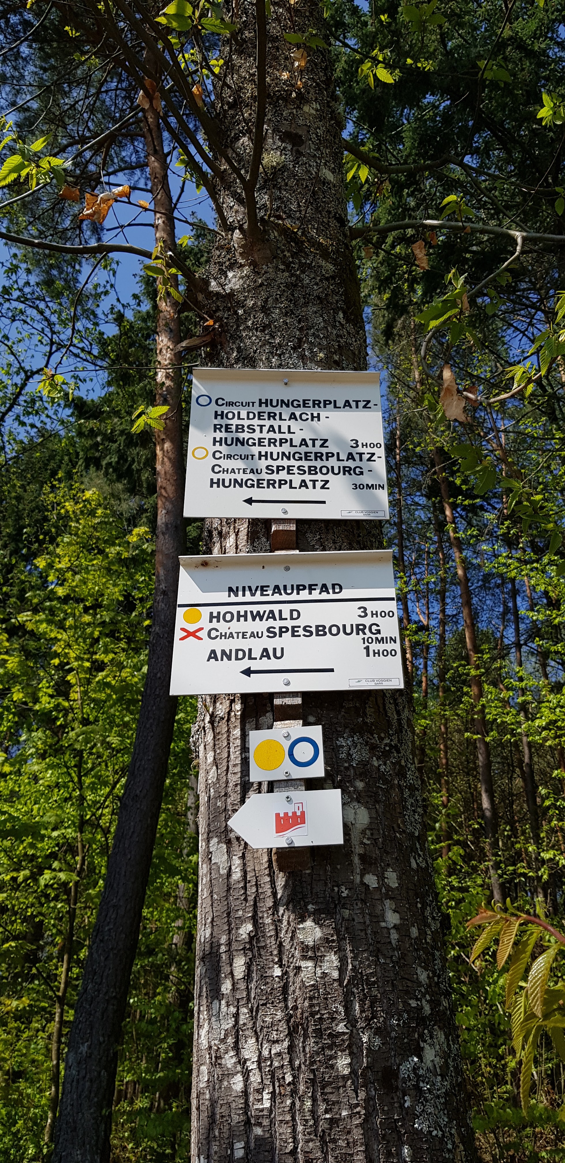 Photo n° 2 de l'avis de Celine.V fait le 02/05/2019 à 07:29