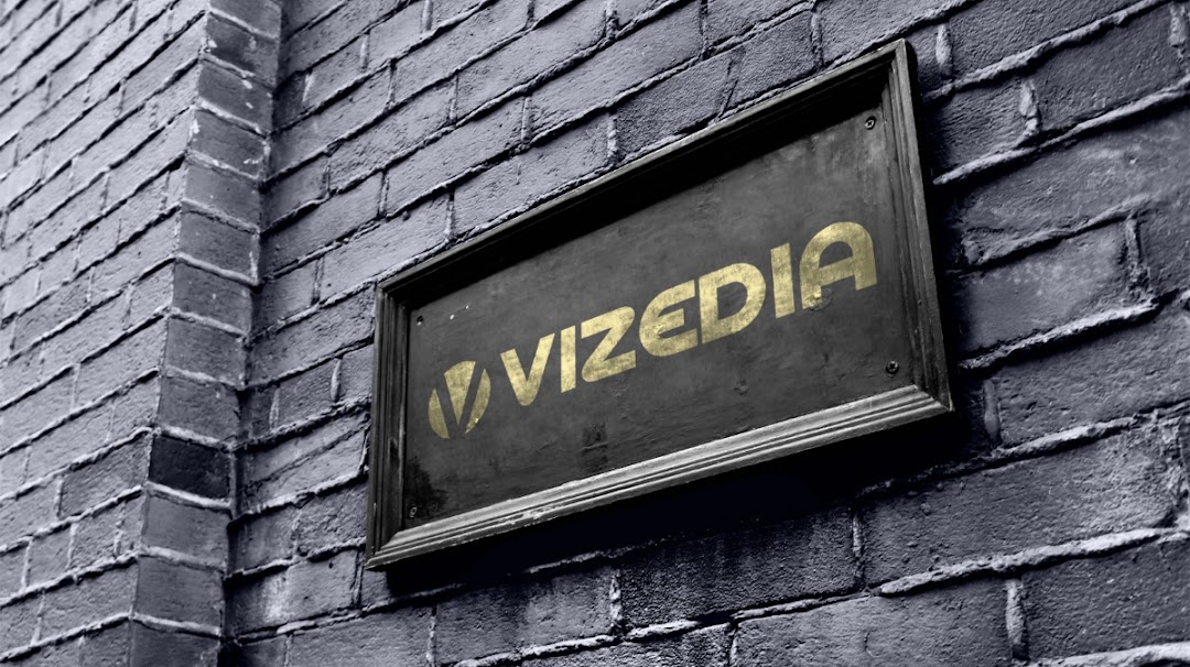 Vizedia LLC