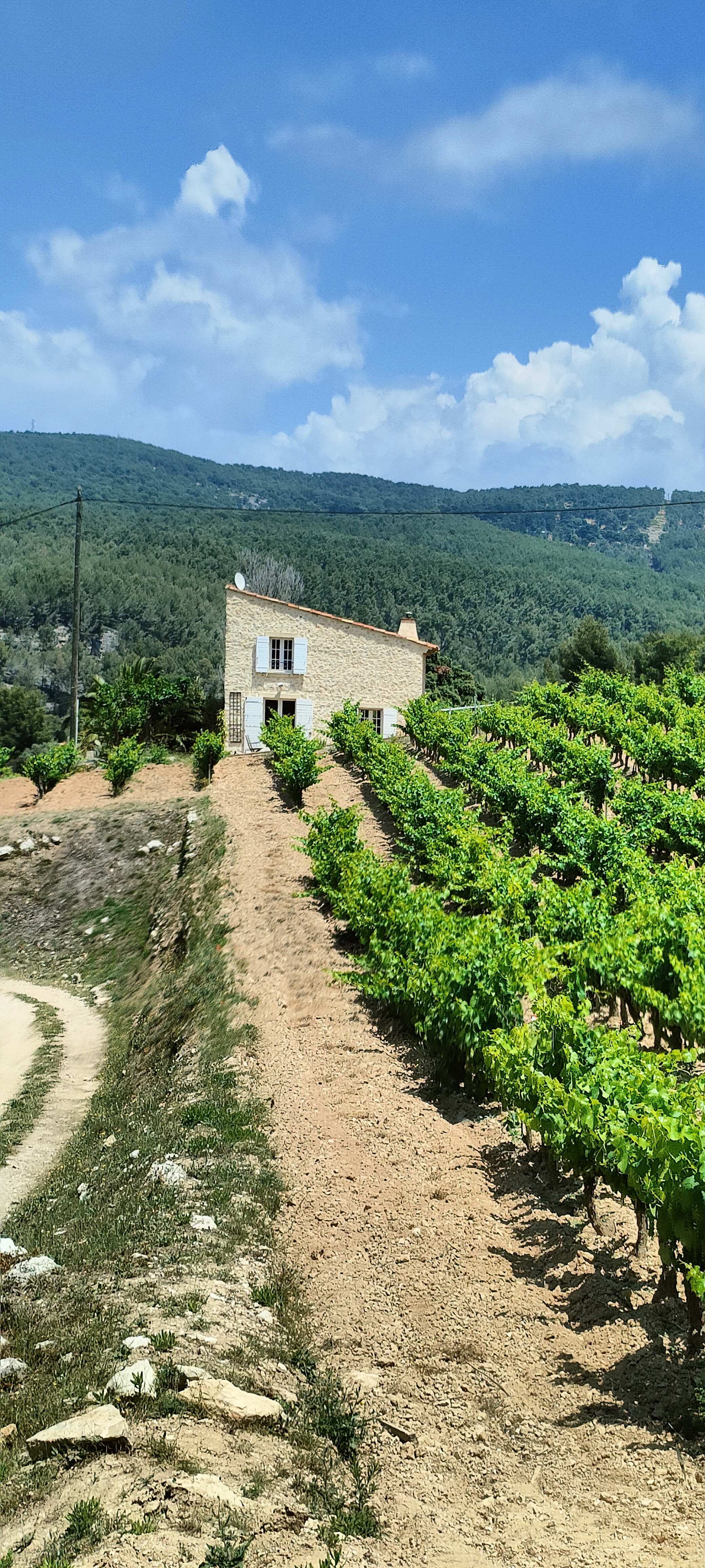 Photo n° 4 de l'avis de Frédéric.e fait le 19/06/2023 à 19:29