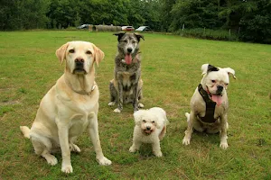 Hundeplatz Lürschau image