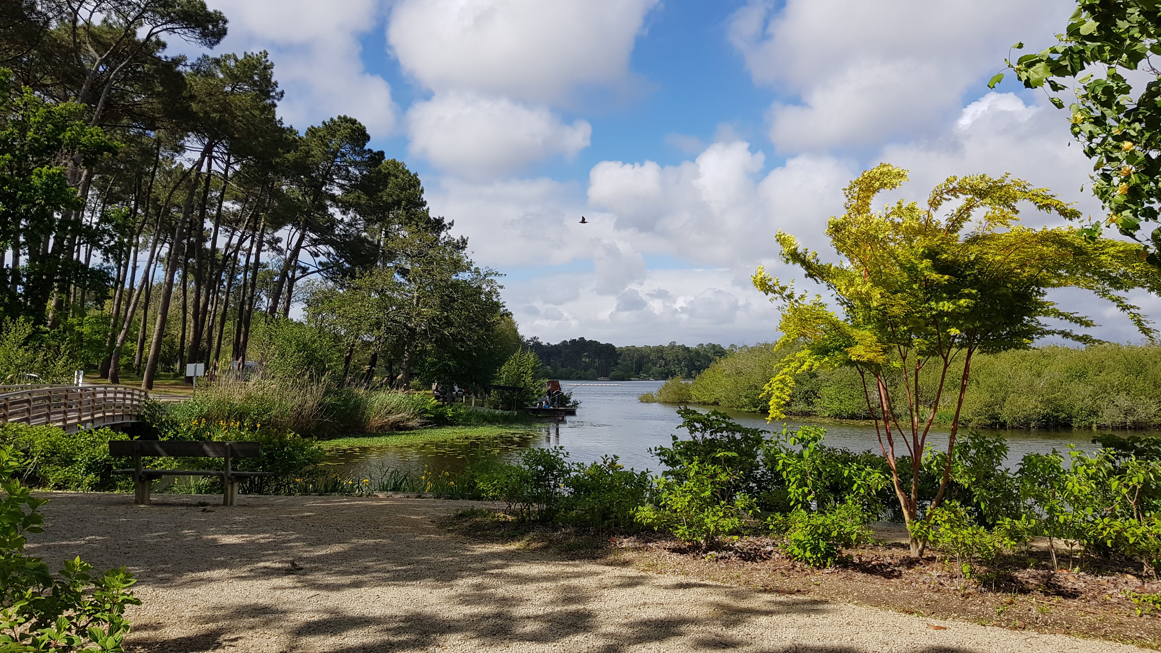 Photo n° 7 de l'avis de Mario.o fait le 11/05/2019 à 17:45