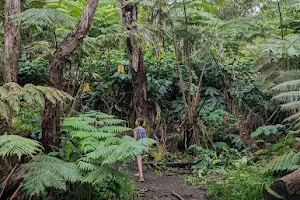 Makuala O'oma Trail image
