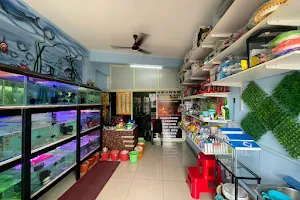 Shri Sai Aquarium and Pet Shop image