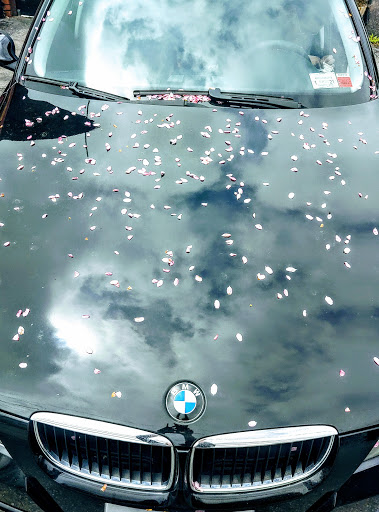 Auto Repair Shop «Foreign Car Specialists», reviews and photos, 124 Washington St, Poughkeepsie, NY 12601, USA