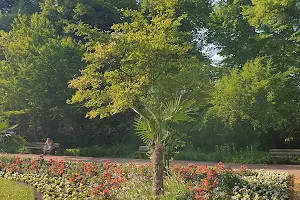 City Hall Garden image