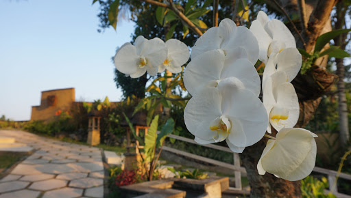 Cruise Agency «World Travel Inc», reviews and photos, 2525 NW Upshur St, Portland, OR 97210, USA