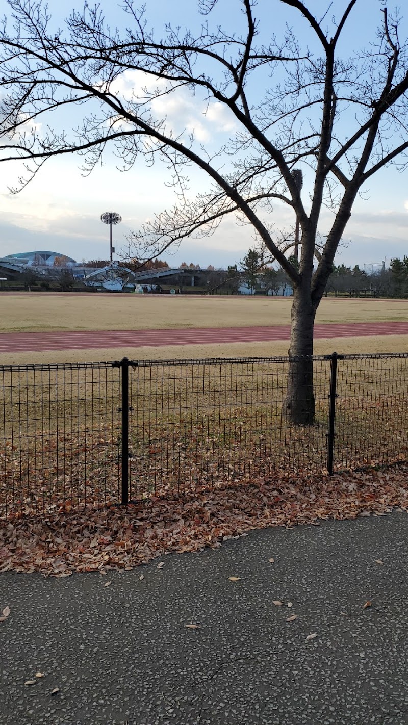 山形県総合運動公園サブグラウンド