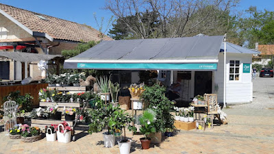 Oya Fleurs Le Kiosque à Arcachon