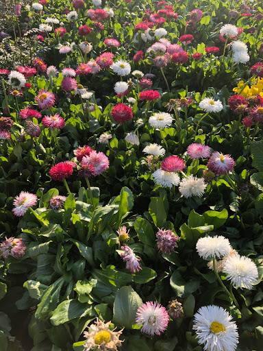 Home Improvement Store «The Home Depot», reviews and photos, 3700 NJ-35, Hazlet, NJ 07730, USA