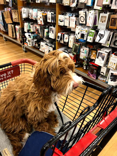 Department Store «T.J. Maxx», reviews and photos, 320 Robert Smalls Pkwy b, Beaufort, SC 29906, USA