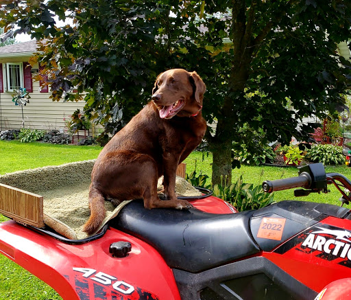 Jolie's Canine Cuisine, LLC