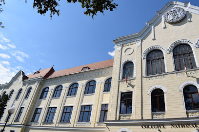 Mihai Viteazul National College