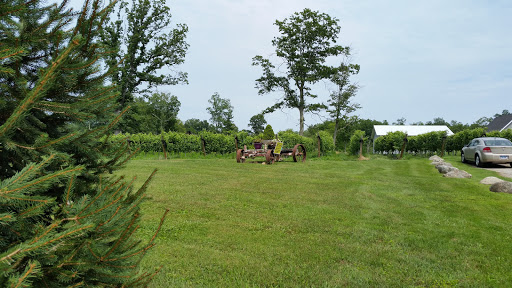 Winery «Sunset Meadow Vineyards», reviews and photos, 599 Old Middle St, Goshen, CT 06756, USA