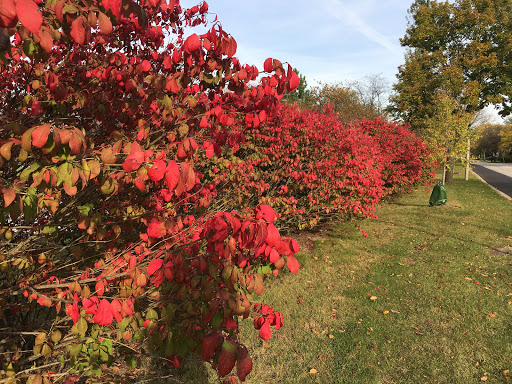 Golf Club «Arlington Lakes Golf Club (ALGC)», reviews and photos, 1211 New Wilke Rd, Arlington Heights, IL 60005, USA