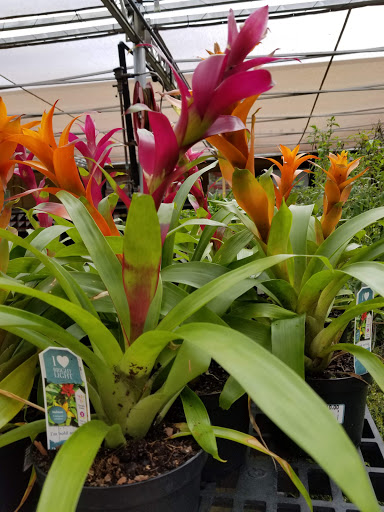 Department Store «Walmart Supercenter», reviews and photos, 59690 Belleview Dr, Plaquemine, LA 70764, USA