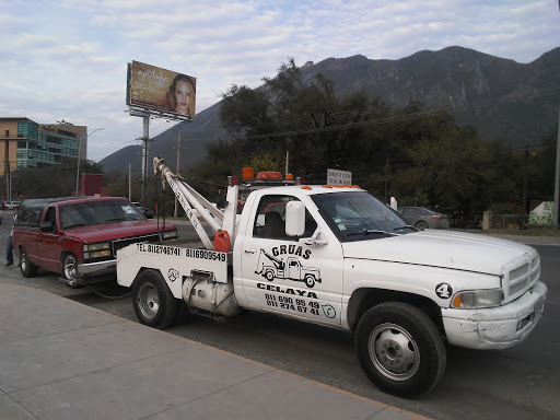 Gruas celaya