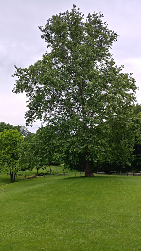 Museum «Rock Ford Plantation», reviews and photos, 881 Rockford Rd, Lancaster, PA 17602, USA