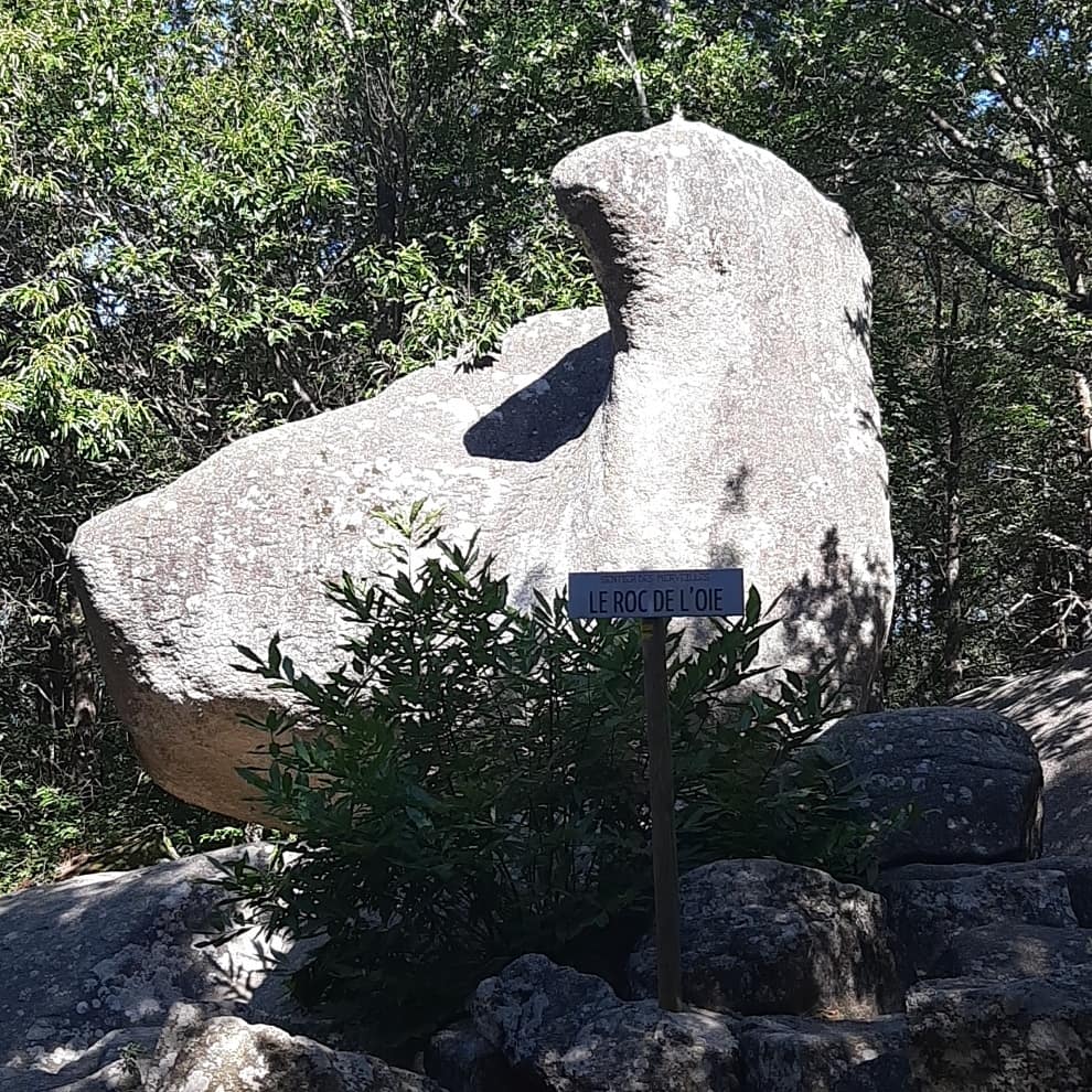 Photo n° 1 de l'avis de Julie.. fait le 03/08/2019 à 12:10