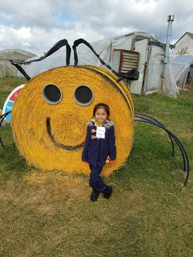 Produce Market «Solly Brothers», reviews and photos, 707 Almshouse Rd, Warminster, PA 18974, USA