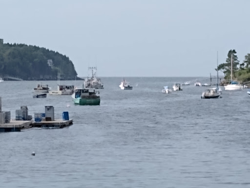 Nature Preserve «Johnson Field Preserve at Mackerel Cove», reviews and photos, 25 Abner Point Rd, Bailey Island, ME 04003, USA