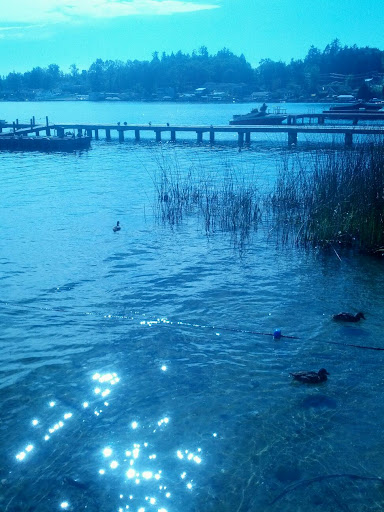 Park «Lundeen Park», reviews and photos, 10020 Lundeen Park Way, Lake Stevens, WA 98258, USA