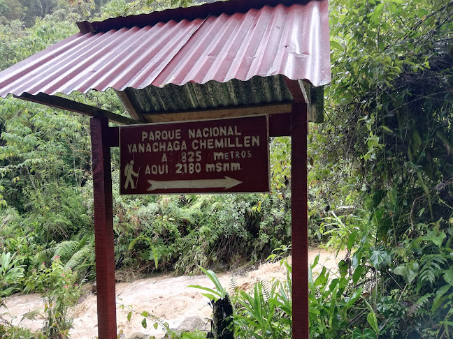 Comentarii opinii despre Parque Nacional Yanachaga Chemillen