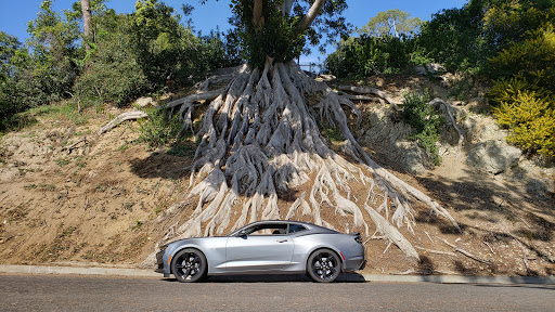 Cemetery «Forest Lawn Memorial Park», reviews and photos, 1712 S Glendale Ave, Glendale, CA 91205, USA