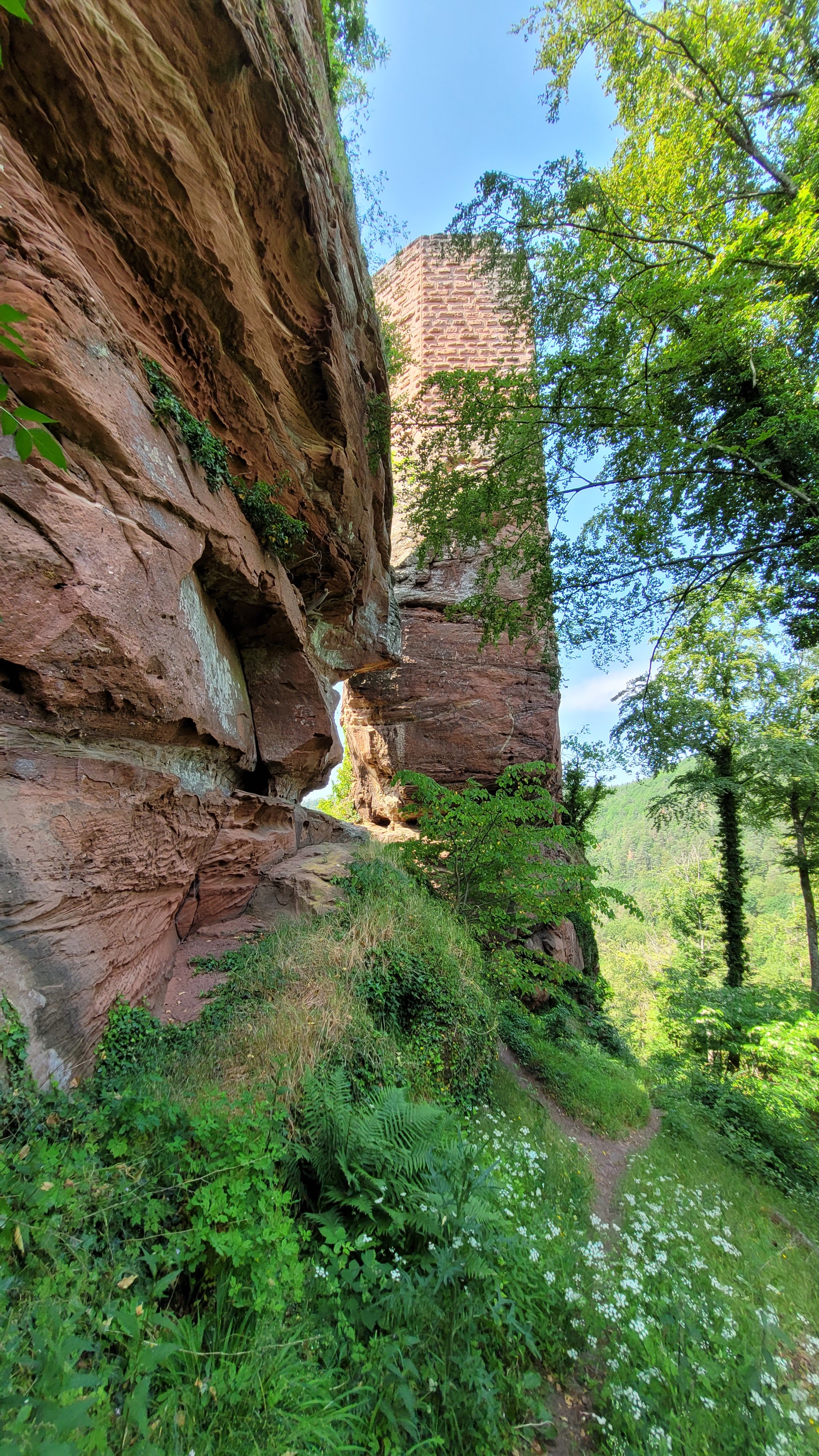Photo n° 10 de l'avis de Enrix. fait le 08/06/2023 à 19:24
