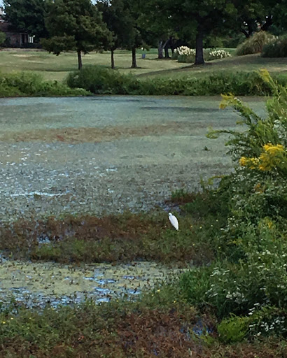 Golf Course «Riverchase Golf Course», reviews and photos, 700 Riverchase Dr, Coppell, TX 75019, USA