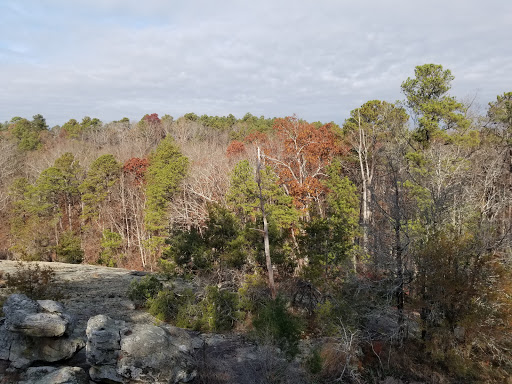 State Park «Panola Mountain State Park», reviews and photos, 2620 GA-155 N, Stockbridge, GA 30281, USA