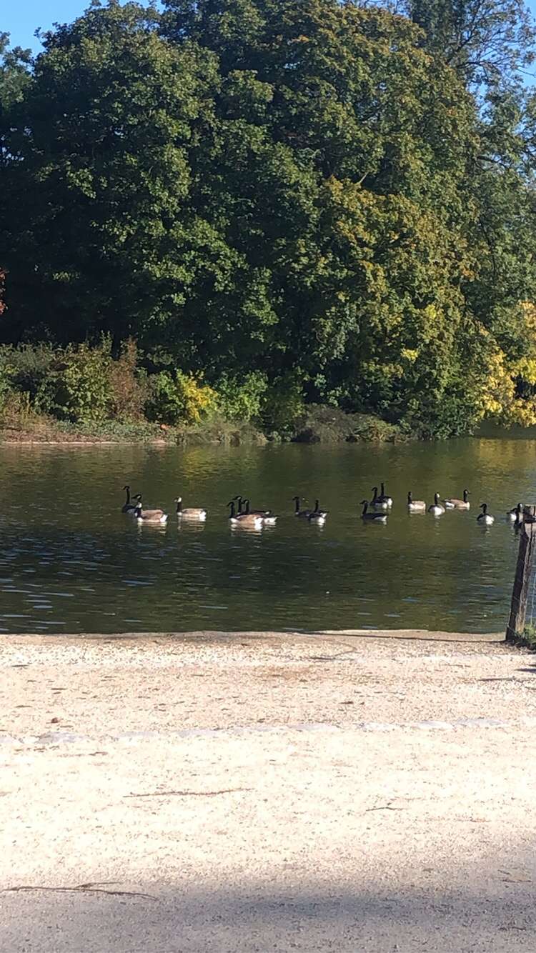 Photo n° 1 de l'avis de Amina.J fait le 19/10/2022 à 15:21