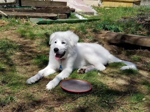 Pet Store «The Pet Shoppe», reviews and photos, 1284 NJ-35, Middletown, NJ 07748, USA