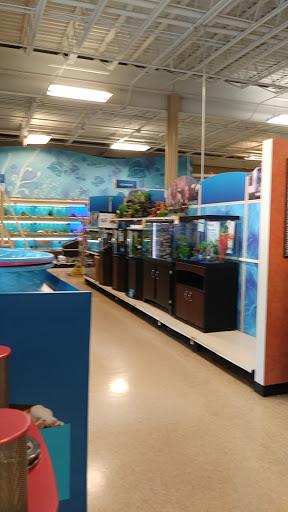 Pet Supply Store «PetSmart», reviews and photos, 2101 Elmwood Ave, Buffalo, NY 14207, USA