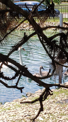 Coffee Shop «Starbucks», reviews and photos, 102 E Irving Park Rd, Itasca, IL 60143, USA