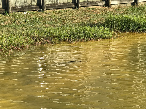 Resort «Seascape Golf, Beach and Tennis Resort», reviews and photos, 556 Seascape Dr, Miramar Beach, FL 32550, USA