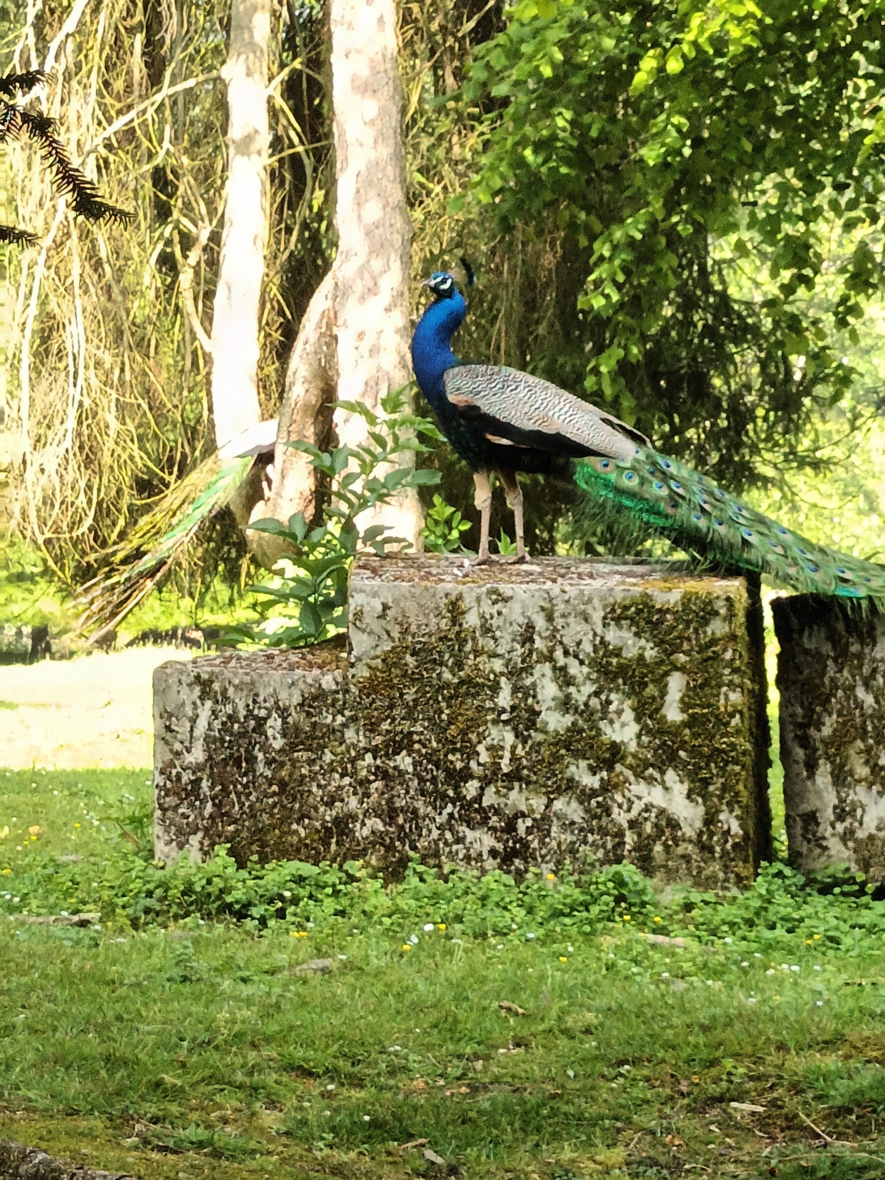 Photo n° 1 de l'avis de daniel.a fait le 28/06/2023 à 18:17