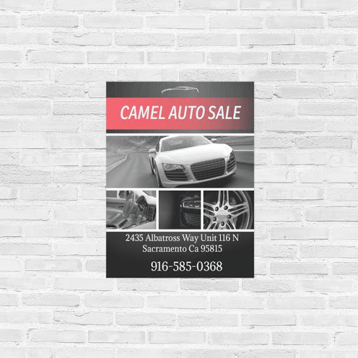 Camel Auto Sale