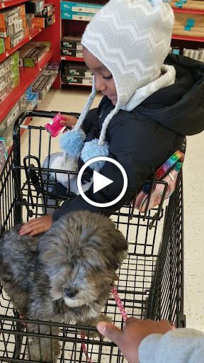 Pet Supply Store «Petco Animal Supplies», reviews and photos, 2765 Papermill Rd G-1, Reading, PA 19610, USA