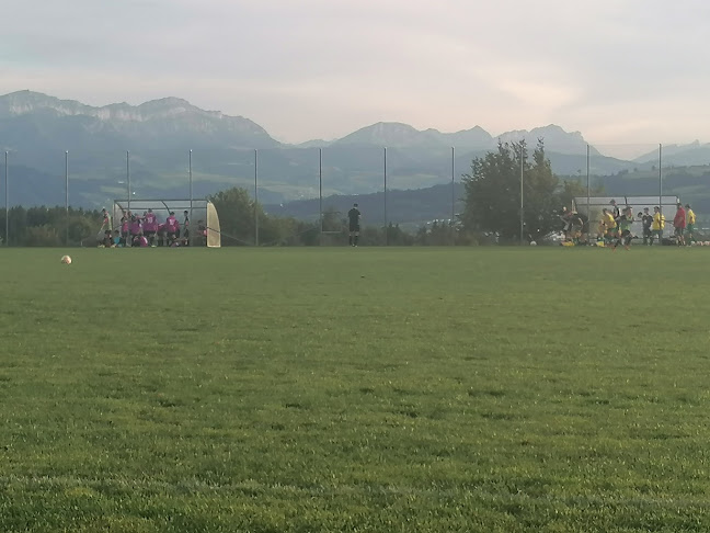 Rezensionen über Hildisrieder SV in Luzern - Sportstätte