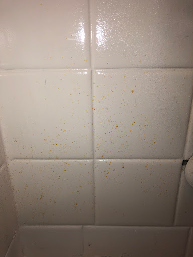 House Cleaning Service «Molly Maid of Greater Little Rock», reviews and photos, 4501 Crystal Hill Rd, North Little Rock, AR 72118, USA