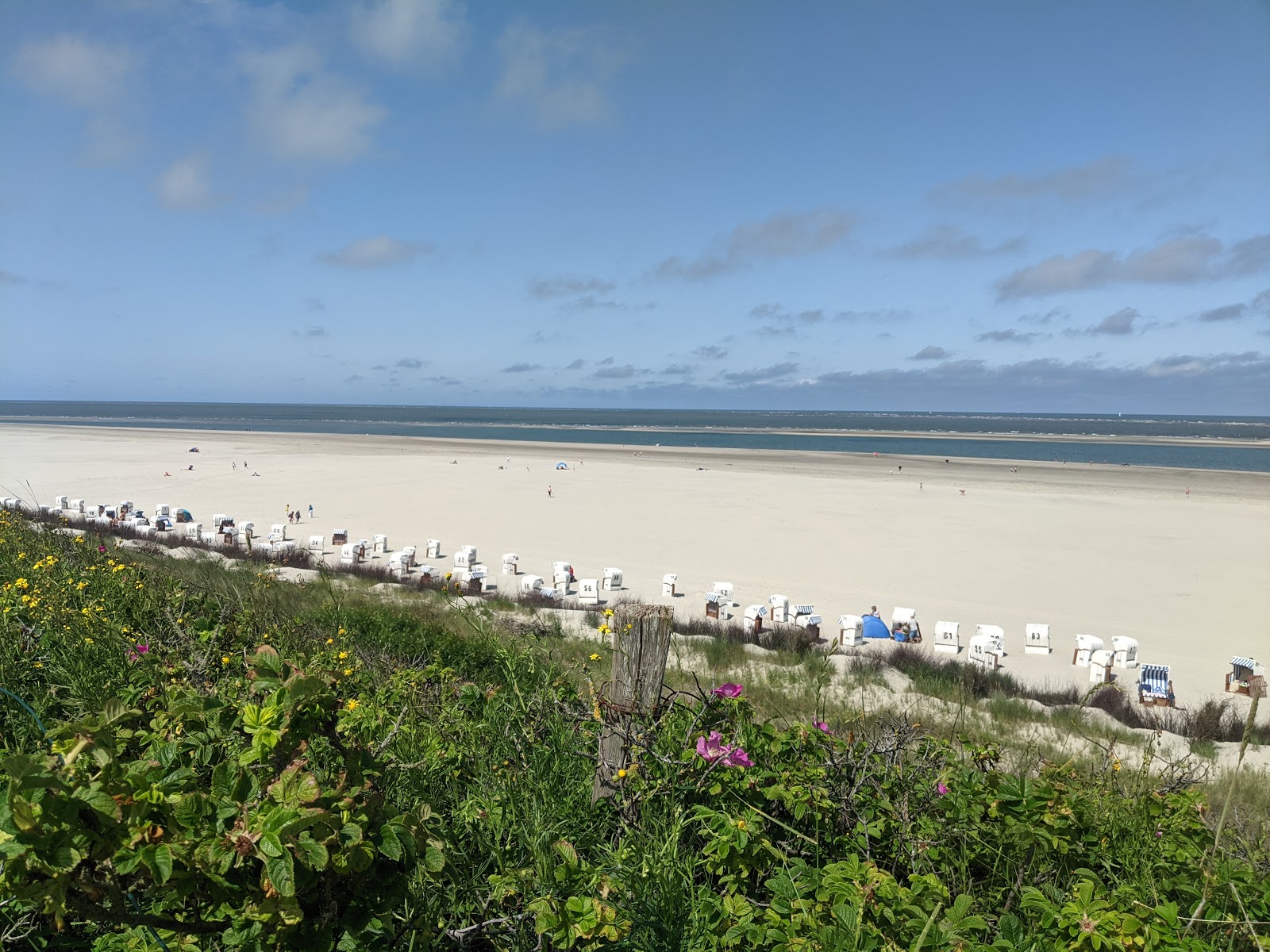 Strand Spiekeroog photo #7