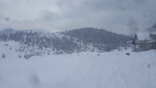 Tourist Attraction «Helena Tourism Alliance», reviews and photos, 105 Reeders Alley, Helena, MT 59601, USA