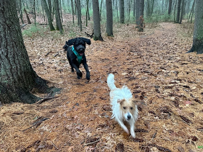 Walden Pet