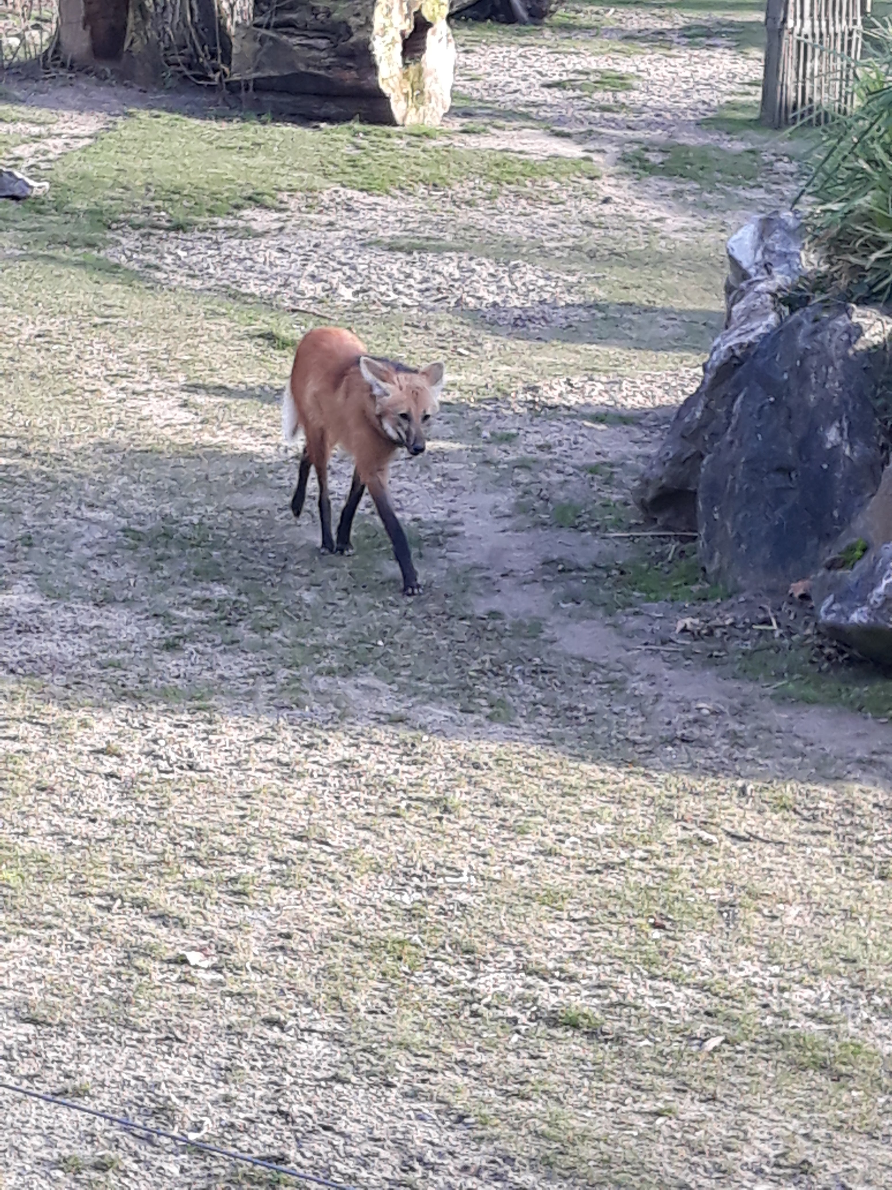 Photo n° 5 de l'avis de Priscillia.r fait le 18/02/2019 à 12:48