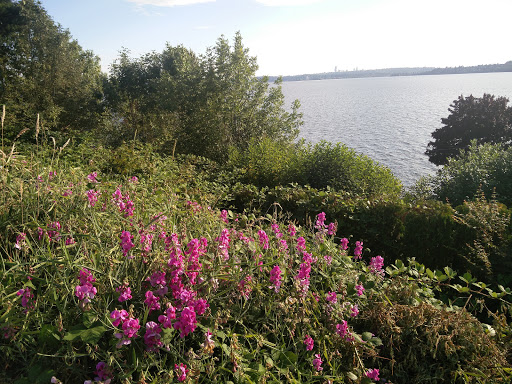Park «Heritage Park», reviews and photos, 111 Waverly Way, Kirkland, WA 98033, USA