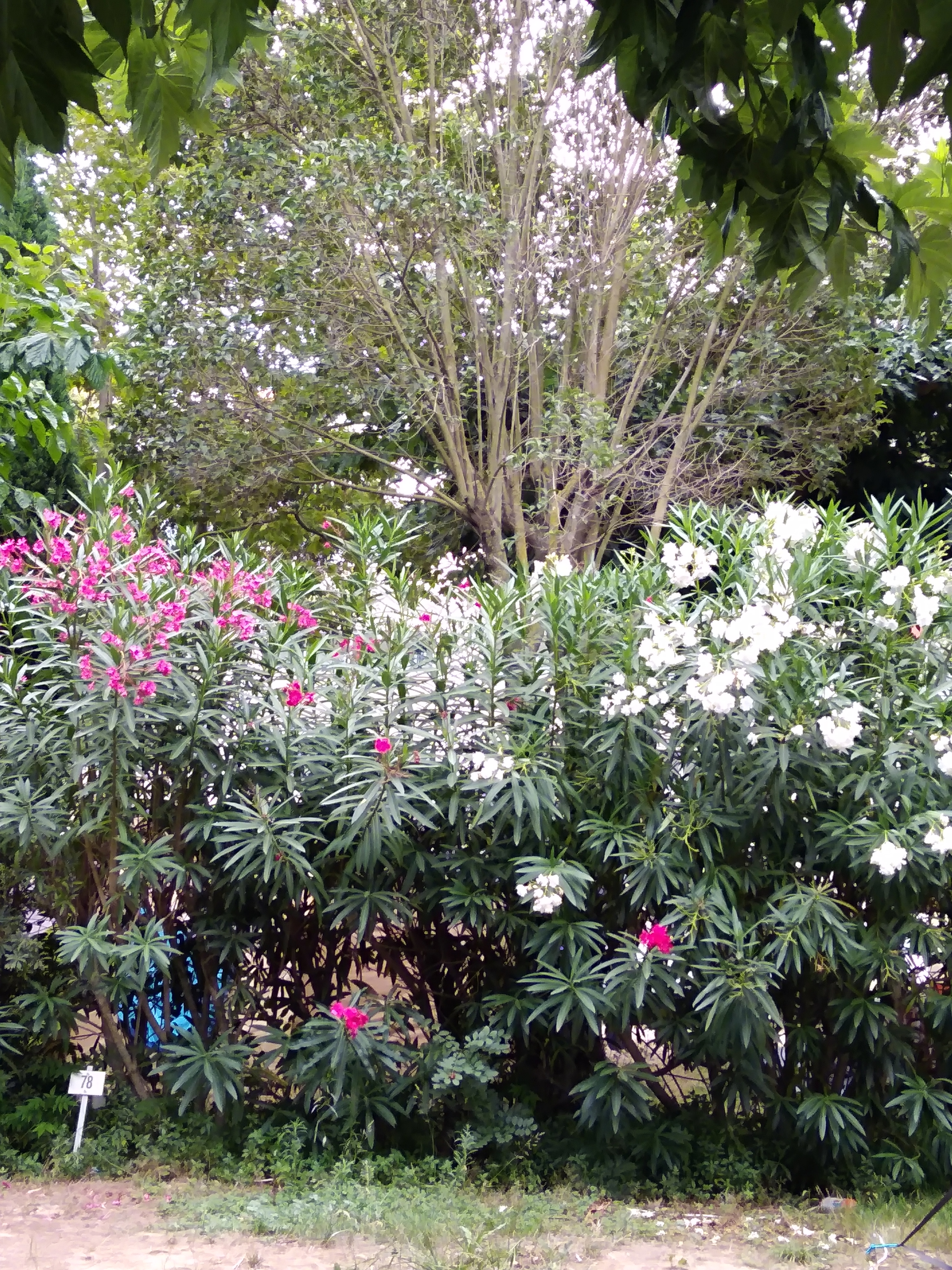 Photo n° 2 de l'avis de pettelot.a fait le 19/08/2019 à 10:25