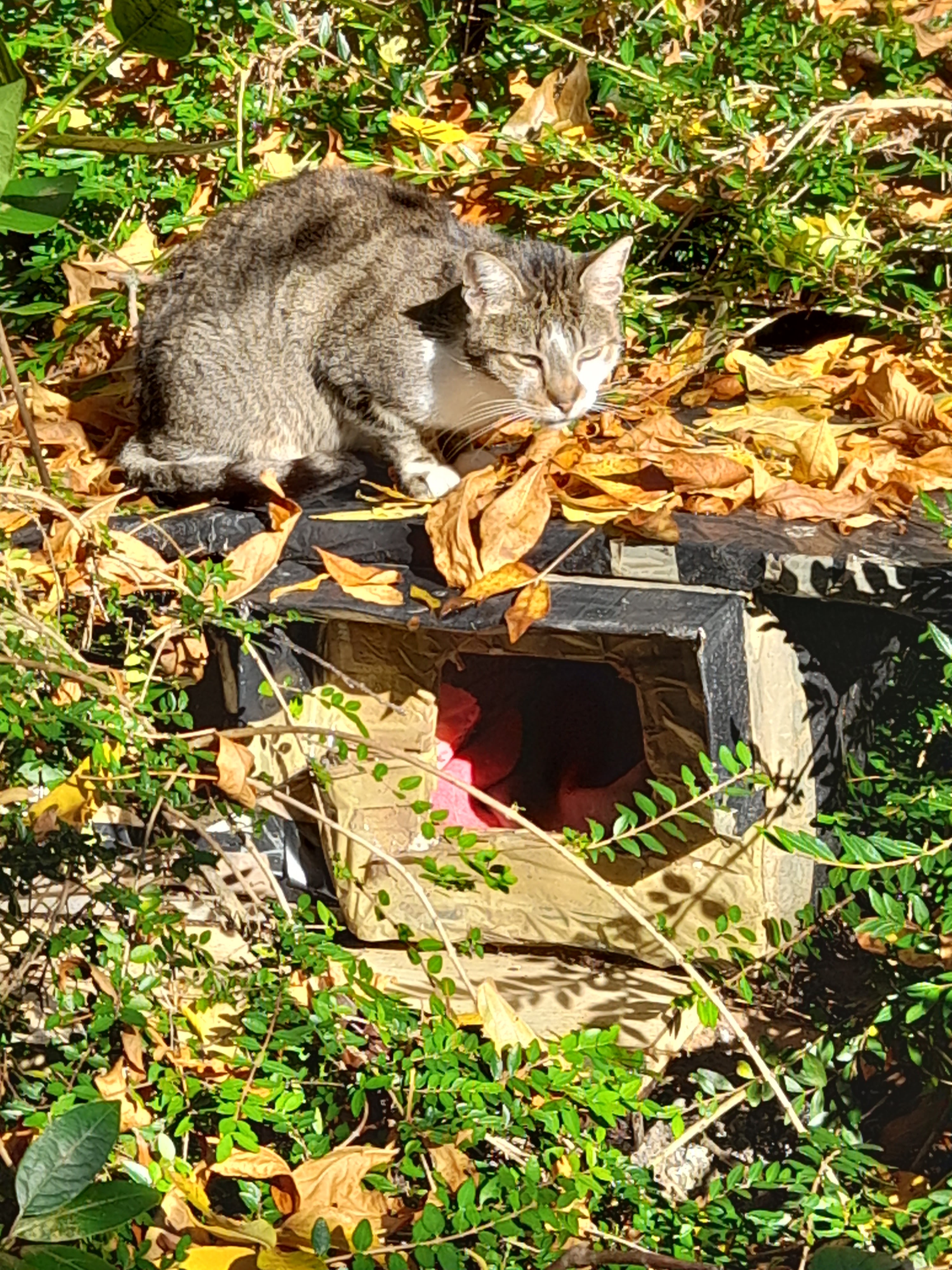 Photo n° 6 de l'avis de Anna.o fait le 24/10/2021 à 12:26
