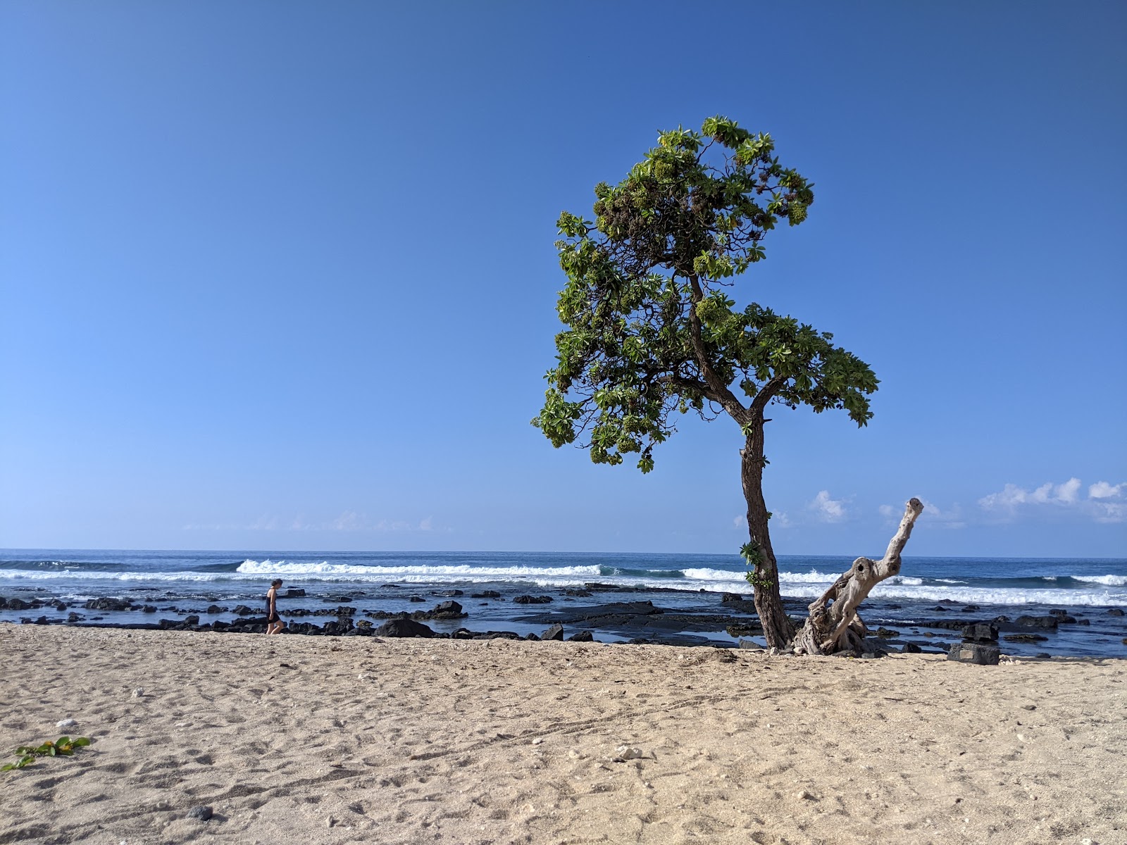 Foto van Kailua Kona Beach gelegen in een natuurlijk gebied