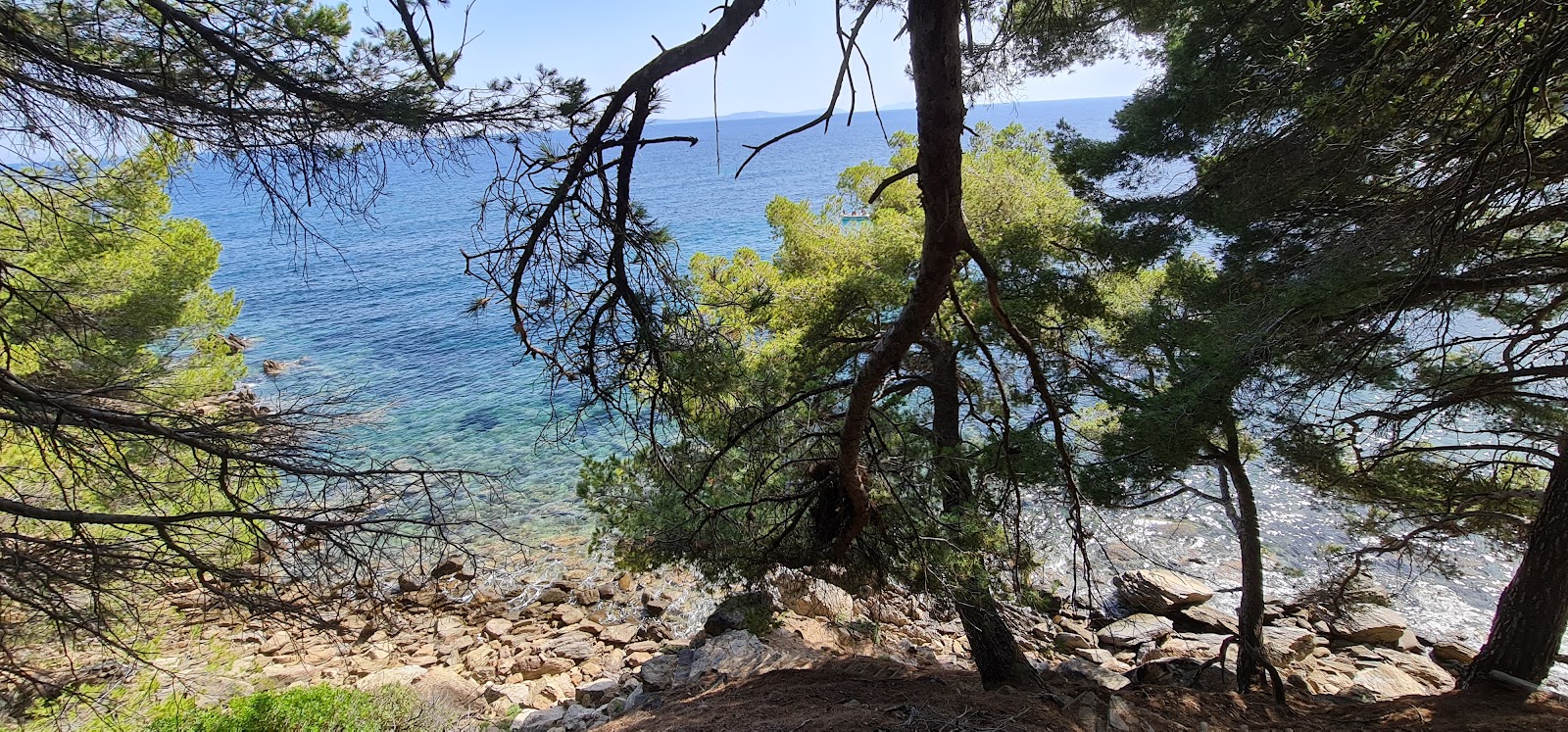Foto von Plage des Amphores wilde gegend