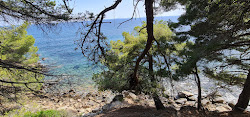 Foto von Plage des Amphores wilde gegend